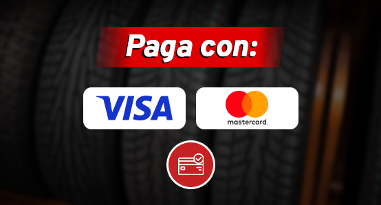 Paga con Visa, Mastercard y American Express a 3 y 6 meses sin intereses en compras mayores a $1500 MXN
